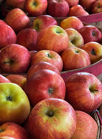 close up of a retail display of bushels of organically grown gala apples for sale at a farmer's market, Long Island, New York