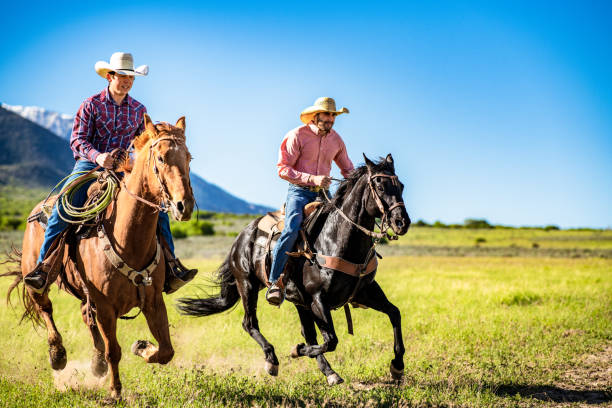 galopperar i vildmarken - cowboy horse bildbanksfoton och bilder