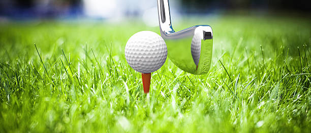 Game in a golf stock photo