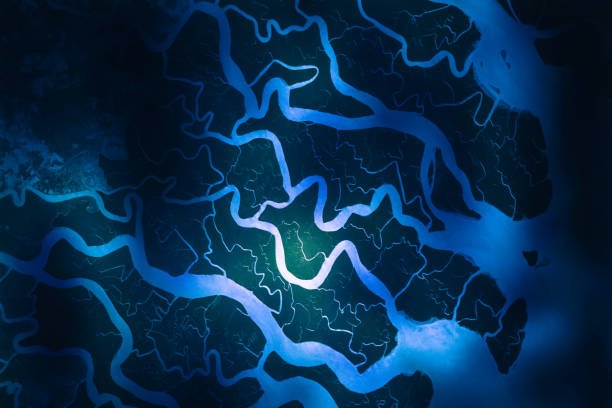 Ganges River delta. Satellite view. Elements of this image furnished by NASA. Ganges River delta. Satellite view. Elements of this image furnished by NASA. ganges river stock pictures, royalty-free photos & images