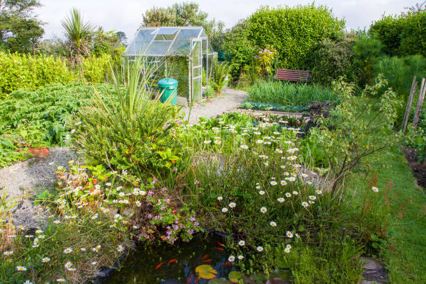 Garden Allotment with Glass House stock photo