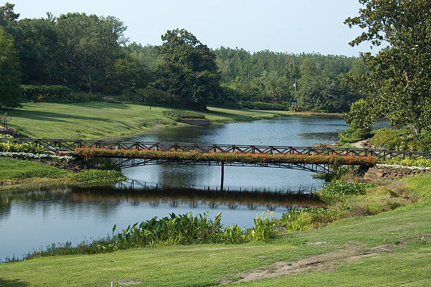 Garden Bridge over a Pond stock photo