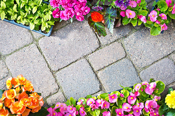 Garden Center Display of Retail Seedling Plants on Brick Background A variety of colorful spring flower seedling plants in retail plastic container pots. They are arranged on a brick paving background. The composition is designed for custom copy. Photographed in horizontal format with copy space garden center stock pictures, royalty-free photos & images
