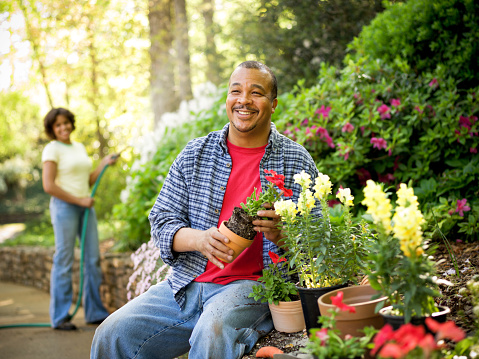 Mature man sits in a garden potting flowers while wife waters plants in the background. Horizontal shot.