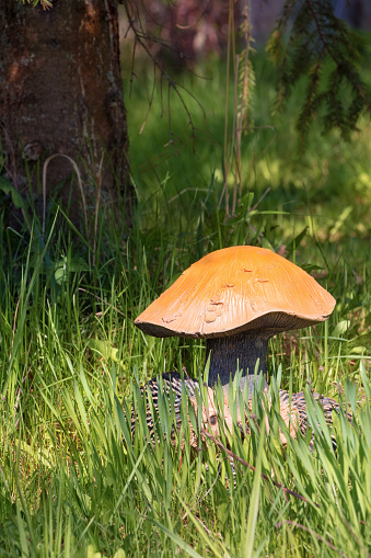 Gartengestaltunggruppe Von Holzpilzen Und Hedgehogs Stockfoto Und