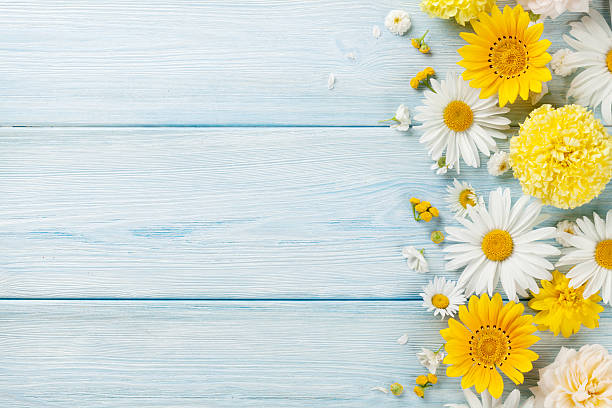 Garden Flowers Over Wooden Background