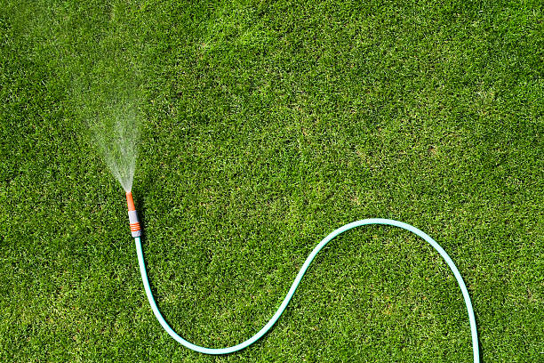 garden hose  watering stock pictures, royalty-free photos & images
