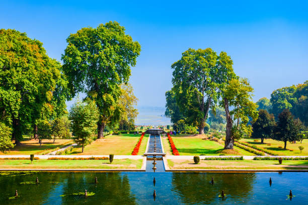 Garden in Srinagar city, India Beauty garden in Srinagar city, Jammu and Kashmir state of India srinagar stock pictures, royalty-free photos & images