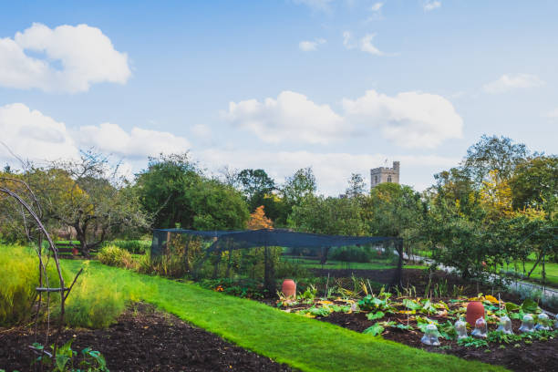 сад возле бишопс парк в фулхэме, лондон, великобритания - fulham стоковые фото и изображения