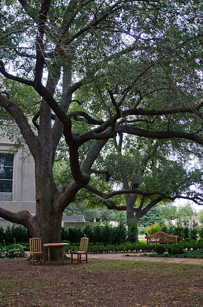 Garden of Armstrong Browning Library at Baylor University Waco, United States - November 30, 2013: Garden of Armstrong Browning Library at Baylor University baylor basketball stock pictures, royalty-free photos & images
