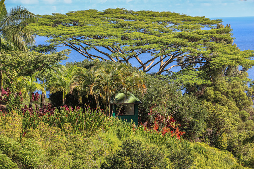 Garten Eden Landschaftsansicht Auf Maui Hawaii Stockfoto Und Mehr