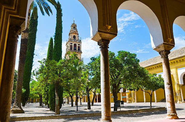 Garden of the orange trees  cordoba mosque stock pictures, royalty-free photos & images