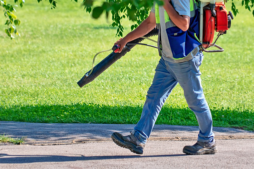 kill mosquitoes from outdoor spaces