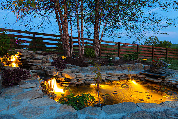 Garden pond Decorative koi pond in a garden at night pond stock pictures, royalty-free photos & images