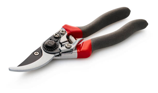 garden secateur tool garden tool secateur on a white isolated background pruning shears stock pictures, royalty-free photos & images