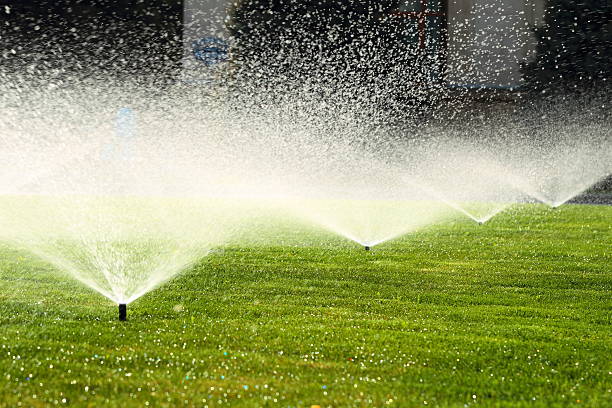 garden sprinkler on the green lawn - irrigatiesysteem stockfoto's en -beelden