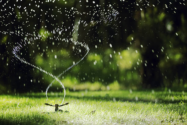 Garden sprinkler Narrow depth of field Sprinkler head sprinkles water on grass with bokeh backgound irrigation equipment stock pictures, royalty-free photos & images