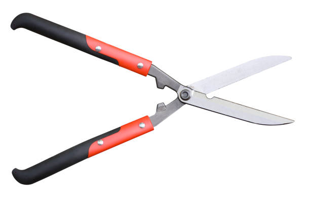 garden tool - hedge cutting shears  hedge clippers stock pictures, royalty-free photos & images