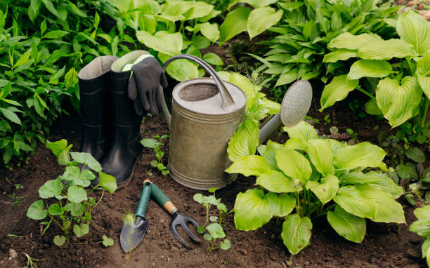 Garden tools and flowers in the garden, such as watering can, rubber boots, gloves. stock photo