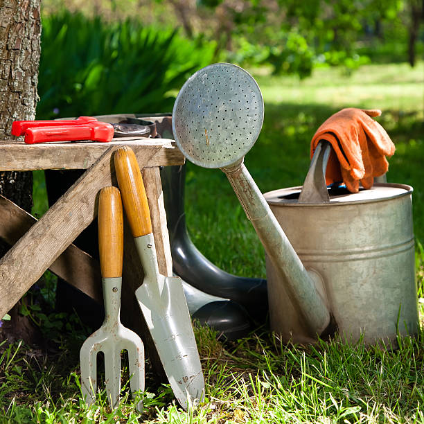 Garden tools stock photo