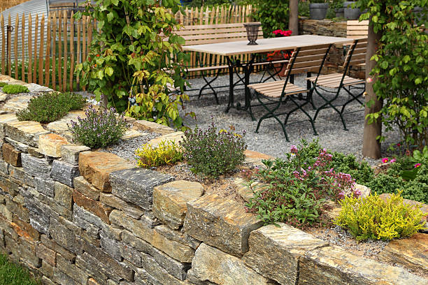 Garden wall with herbs stock photo