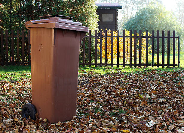 Garden with brown dustbin for autumn fallen leaves stock photo