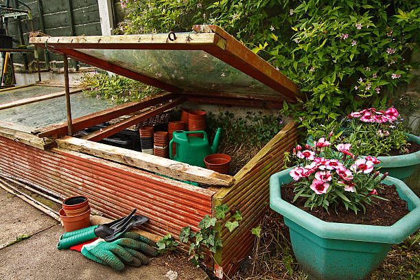 Garden with potted flowers and cold frame stock photo