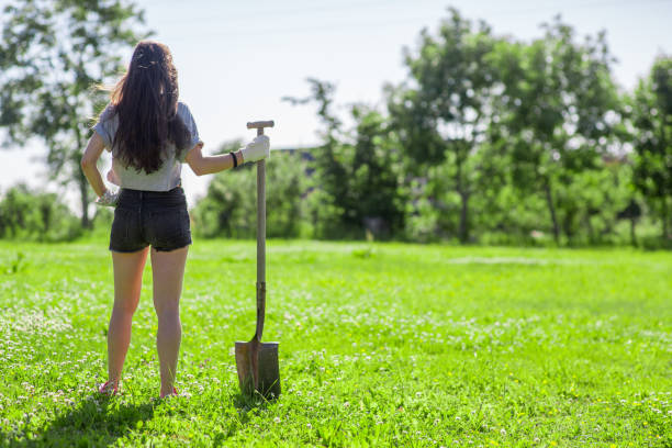 Garden_Girl_1 Back shot of a girl with a shovel in a lawn during a sunny day. beautiful swedish women stock pictures, royalty-free photos & images