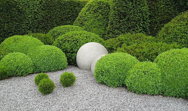 Gardendesign with buxus and yew Gardendesign with buxus balls, yew  and stone balls garden path stock pictures, royalty-free photos & images