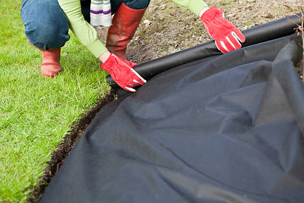 Gardener protecting laying weed with barrier fabric Woman gardener unrolling weed control barrier cloth onto a garden border next to trimmed grass lawn.... boundary stock pictures, royalty-free photos & images