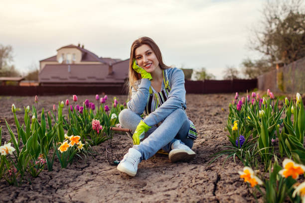 Gardener relaxing among fresh tulips, daffodils, hyacinths in spring garden. Happy woman enjoys colorful flowers stock photo