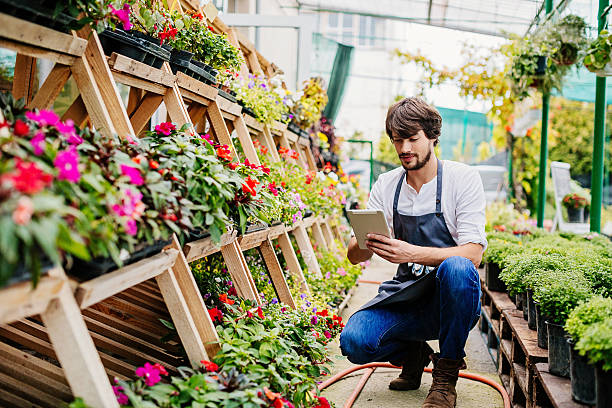 Gardener with digital tablet Young man holding a digital tablet working in a garden center. garden center stock pictures, royalty-free photos & images
