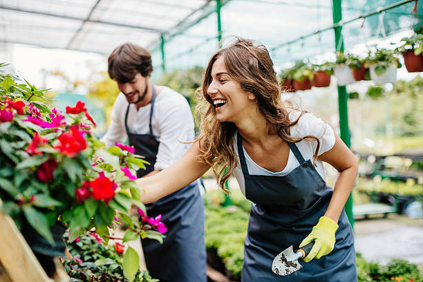 Gardeners working in a greenhouse Smiling young people working with flowers in a garden center. garden center stock pictures, royalty-free photos & images