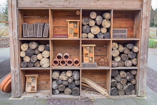 Gardenhouse constrruction with beehotels and tree truncks