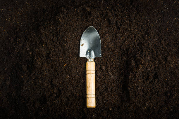 Gardening equipment and hand with soil stock photo