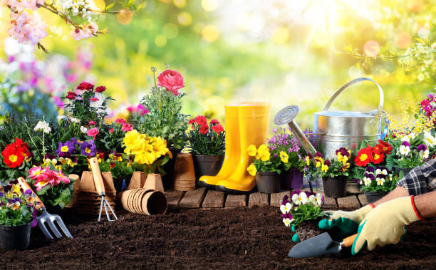 садоводство - оборудование для садовника и цветочные горшки в солнечном саду - декоративный сад стоковые фото и изображения