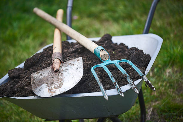 Gardening Fork, Shovel and Wheelbarrow stock photo