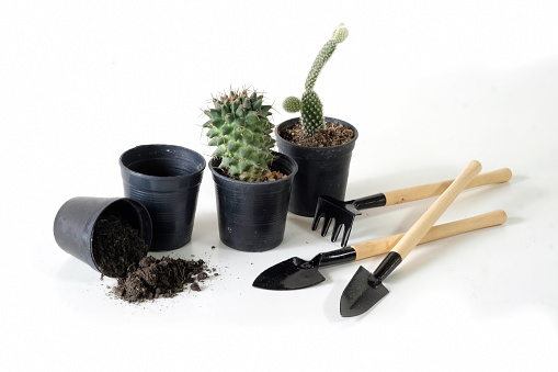 Download Gardening Mockup Plant Pots And Shovel On White Stock Photo Download Image Now Istock