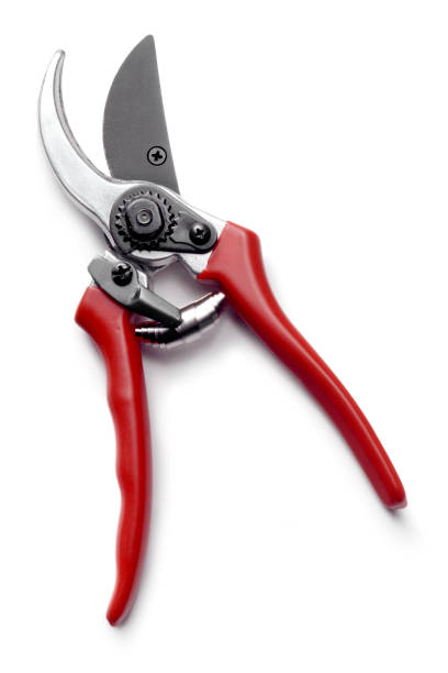Gardening: Shears More Photos like this here... gardening equipment photos stock pictures, royalty-free photos & images