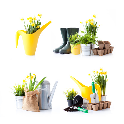 Gardening tools and flowers isolated on white. Spring is comming