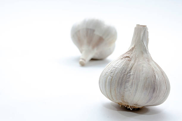 Garlic Bulb Up Close on Bright Background stock photo
