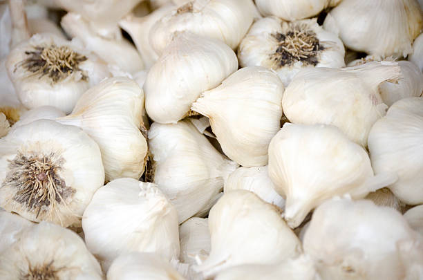 Garlic Bulbs stock photo
