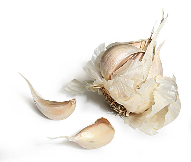 Garlic cloves and bulb on white background stock photo