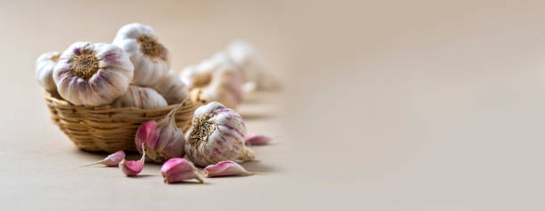 Garlic Cloves and Garlic Bulb in Basket stock photo