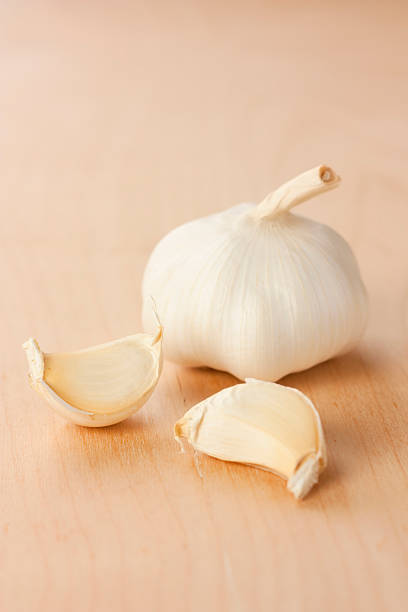 garlic head with two gloves stock photo