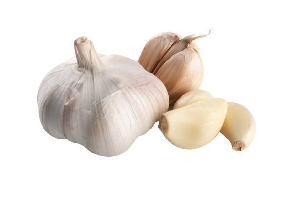 Garlic on a white background stock photo