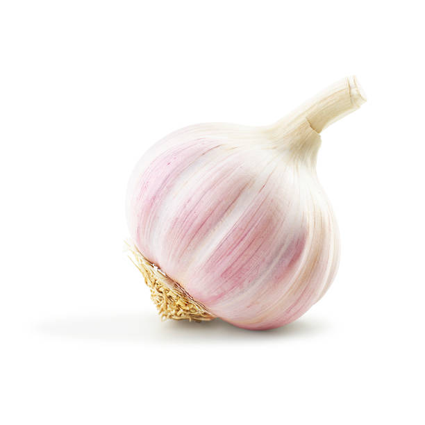 Garlic Garlic on white garlic stock pictures, royalty-free photos & images
