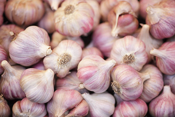 Garlic Garlic in the Farmer's market in Vancouver, Canada. garlic stock pictures, royalty-free photos & images