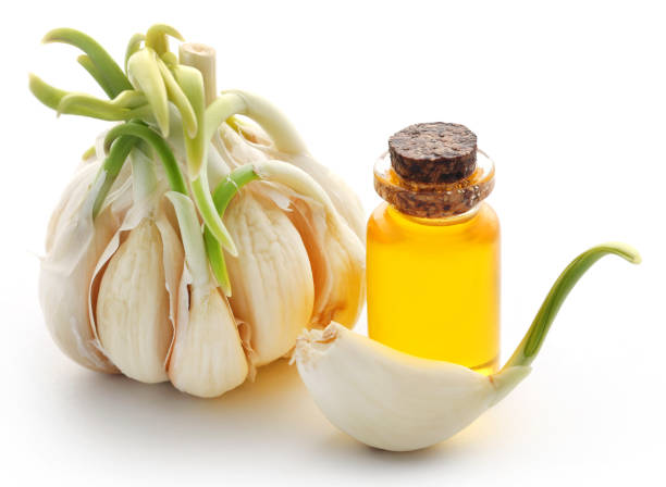 Garlic with essential oil in a bottle Garlic with essential oil in a bottle over white background essential oil stock pictures, royalty-free photos & images