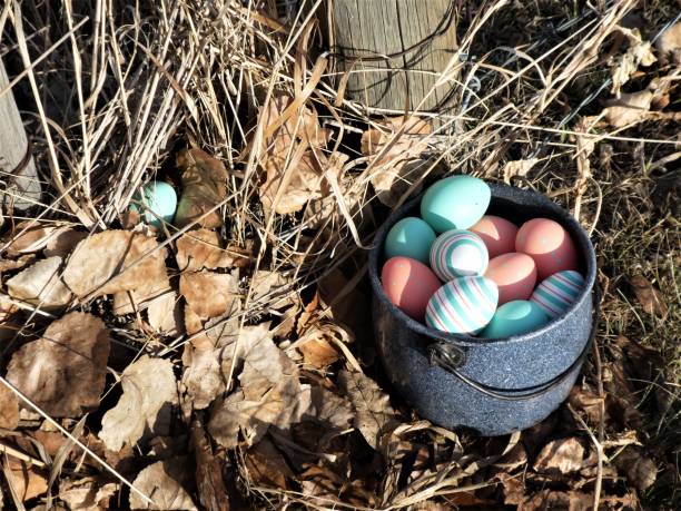 Gathering Eggs in an Antique Cooking Pot (Basket) During a Traditional Outdoor Easter Egg Hunt stock photo